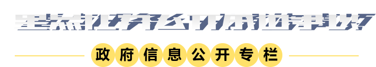 重點任務公開承諾事項圖標